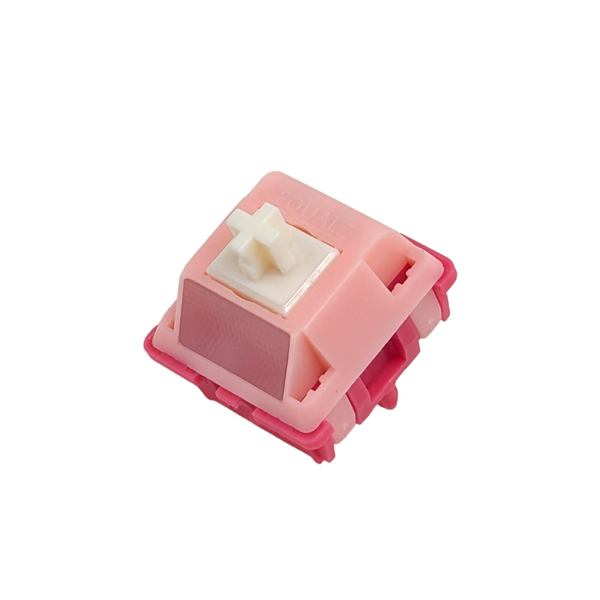 [100pcs] outlet Equalz Dragon Fruit Switch